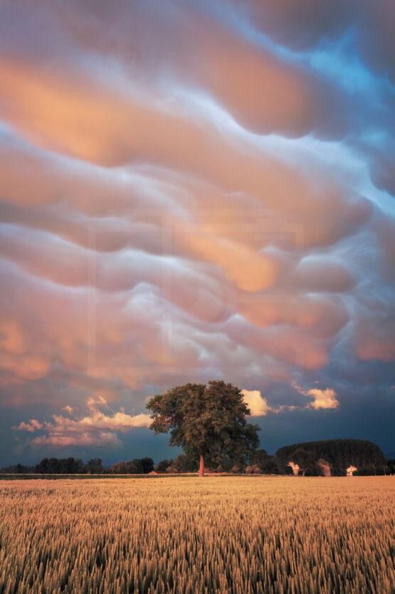 Mammatus - Auvergne