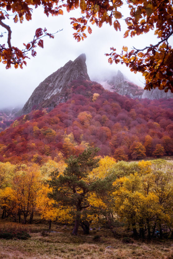 Crête du Coq en Automne - Chaudefour