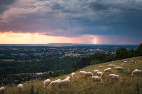 Ambiance crépusculaire en Allier