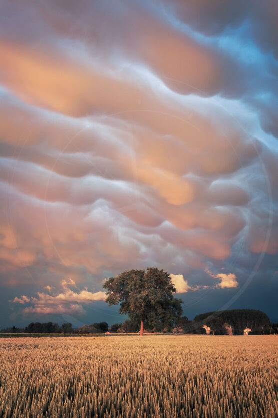 Mammatus - Puy de Dôme