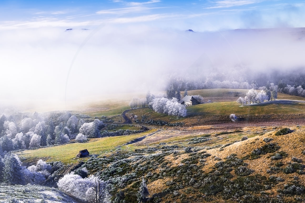 Mer de nuages et givre dans le Massif du Sancy